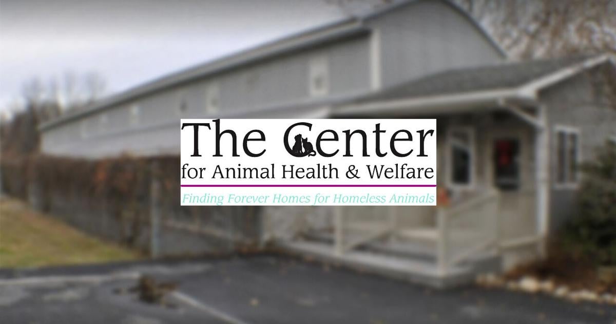 Easton area animal shelter expands with kennel acquisition | Easton Area