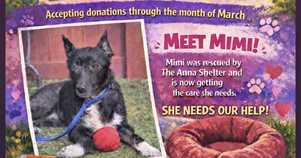 Little Dance Studio Holds Special Fundraiser for Mimi | News