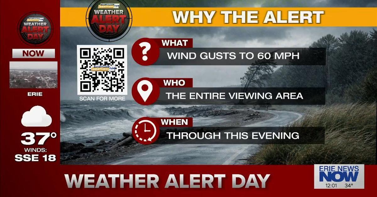 Severe Windstorm Expected to Hit Erie this Weekend | News