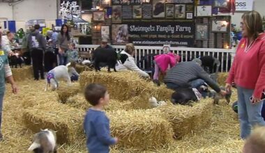 Spring fever: Show brings colorful flowers, garden inspiration to Lehigh Valley | Lehigh Valley Regional News