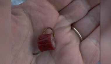 'We want to see some sort of consequence': Owners of injured dog speak out as Easton man appears in court | Easton Area