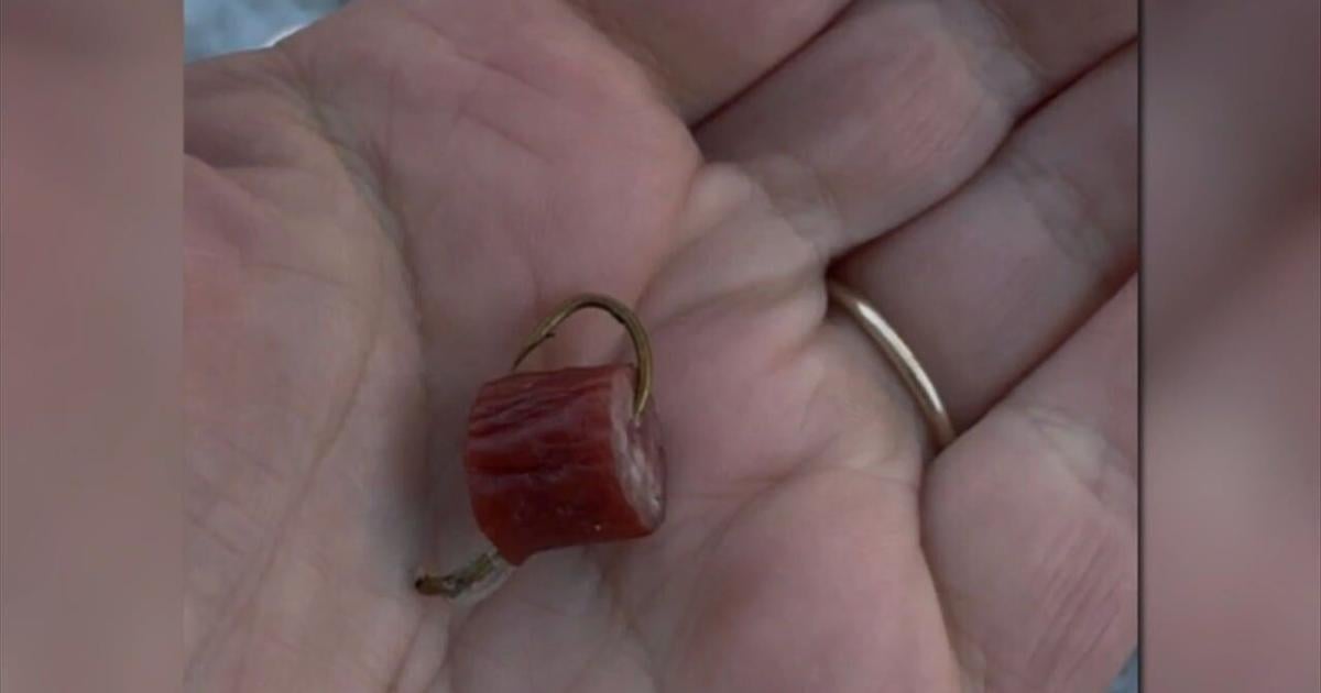 'We want to see some sort of consequence': Owners of injured dog speak out as Easton man appears in court | Easton Area