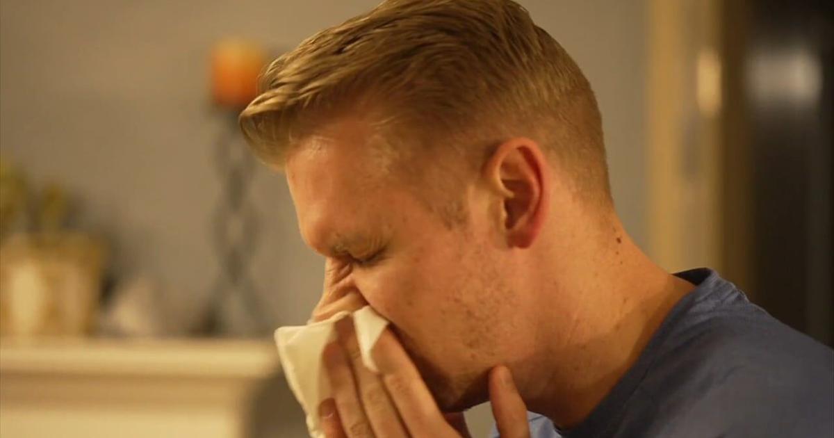 Spring allergy season could be worse than last year, local doctors warn | Pennsylvania News