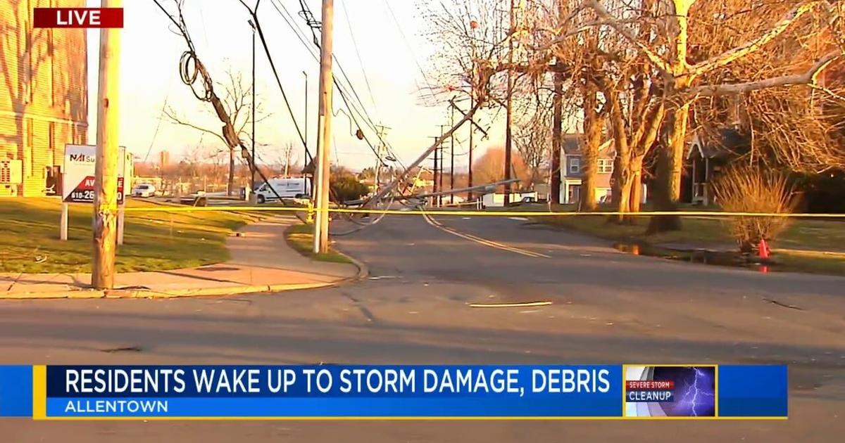 Downed trees, fallen power lines block roads in Lehigh Valley, after strong winds roar through region | Allentown Area
