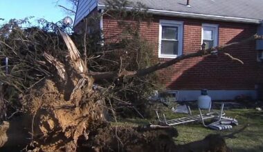 Árboles caídos bloquean las carreteras en Allentown después de que fuertes vientos azotaran la región | Noticias