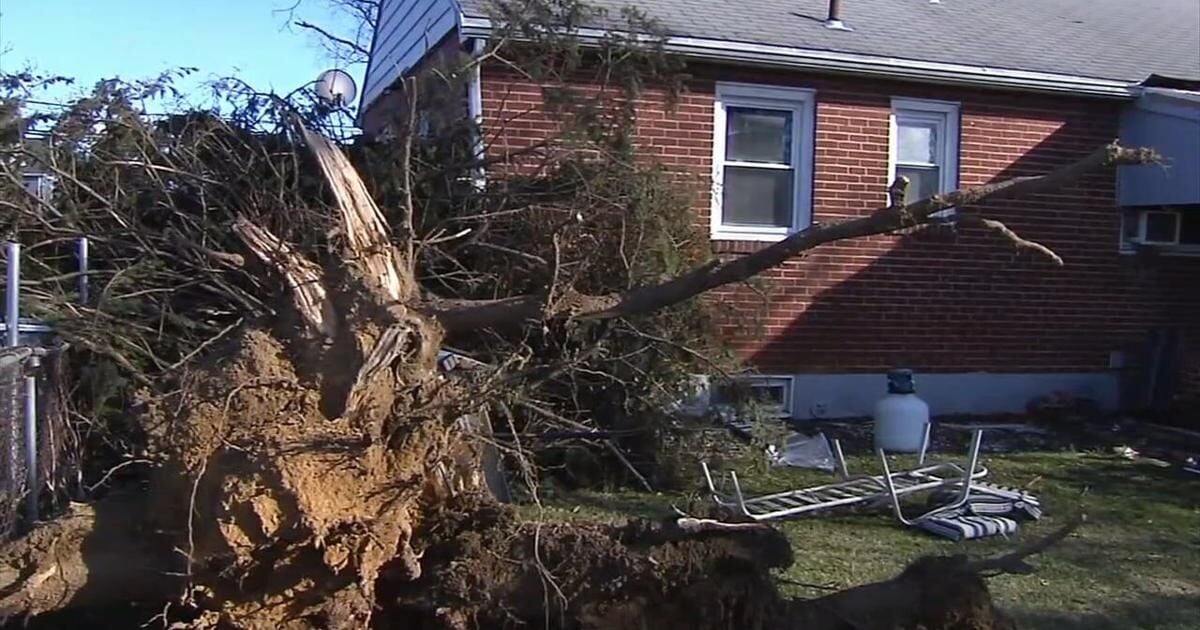 Árboles caídos bloquean las carreteras en Allentown después de que fuertes vientos azotaran la región | Noticias