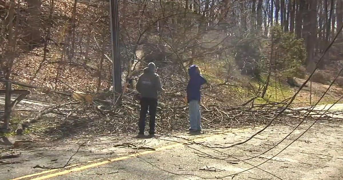 Strong winds leave damage across Berks, Lancaster counties | Berks Regional News