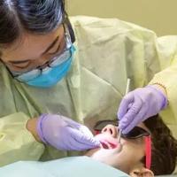 Pitt’s approach to training rural dental providers aims to make it easier to access care | Local News