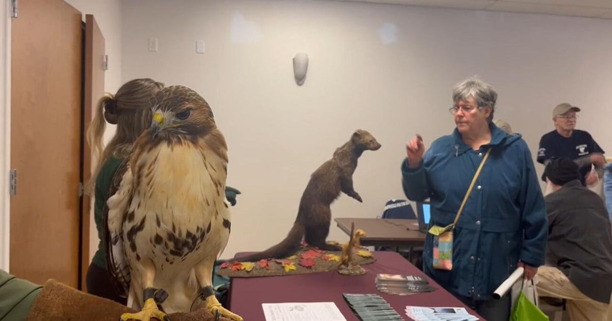 Outdoor expo celebrates spring with sportsmen's showcase hosted by state lawmakers | Carbon County Area