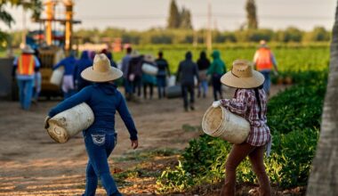 Women farmworkers who built their own fight against sexual assault cope with Chavez allegations | Ap-business