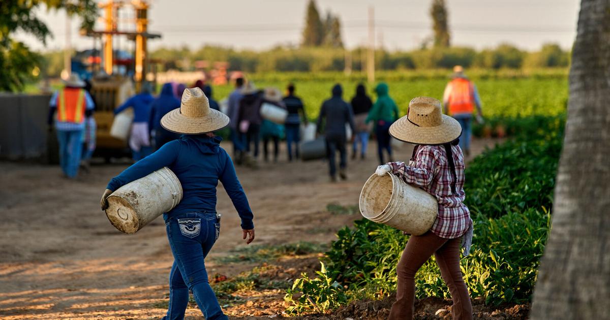 Women farmworkers who built their own fight against sexual assault cope with Chavez allegations | Ap-business