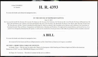 Reading town hall focuses on 'Dignity Act' immigration proposal | Reading Area