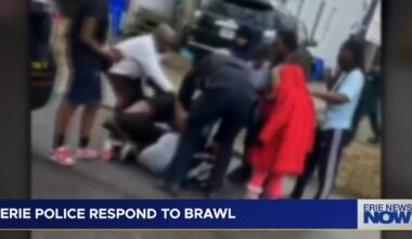 Multiple Minors Arrested After Viral Erie Brawl | Local News