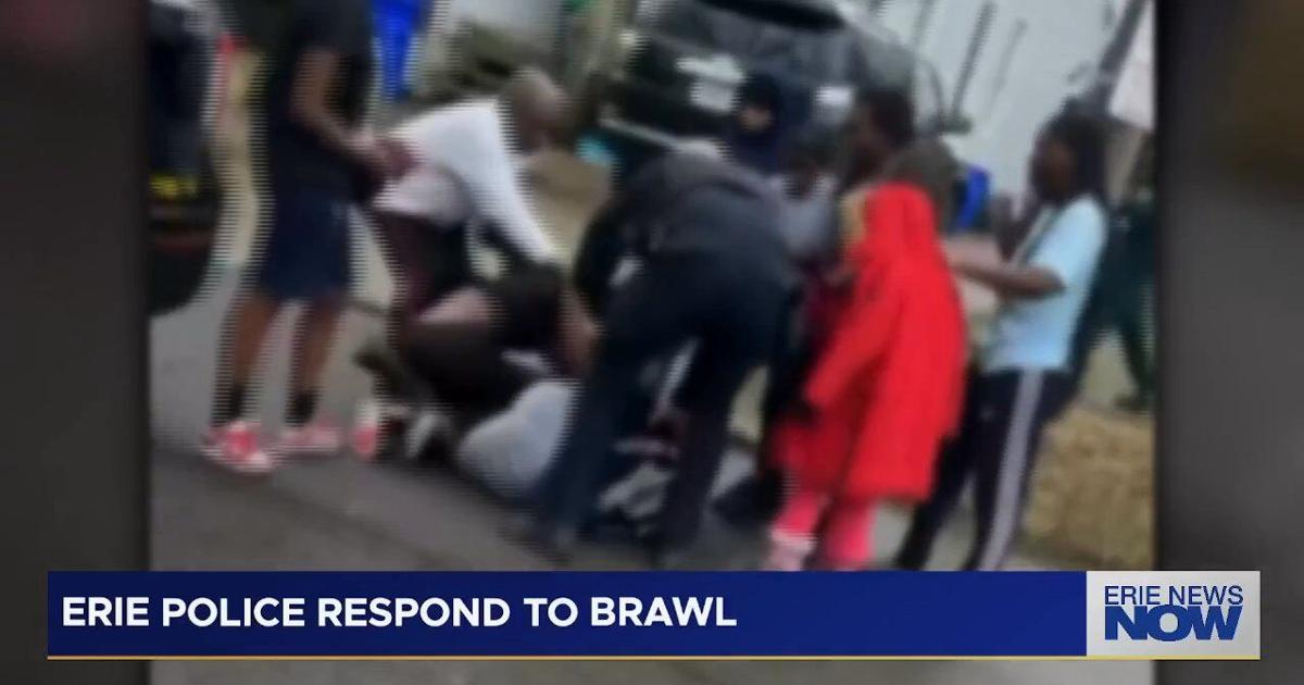 Multiple Minors Arrested After Viral Erie Brawl | Local News