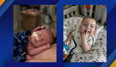 Saving Lives One Donation at a Time at Arty’s Blood Drive | News