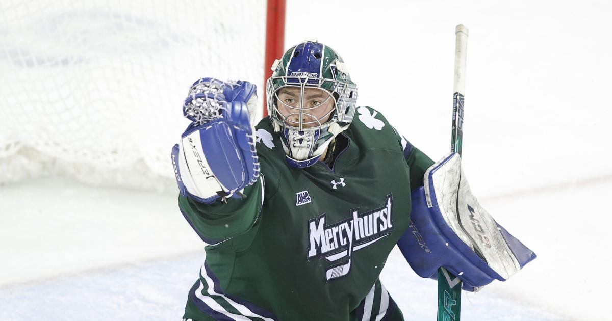 Mercyhurst drops its struggling Division I men's hockey program as part of its master plan | National Sports