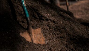 Spring Road Maintenance Provides Fill Dirt Opportunity | News