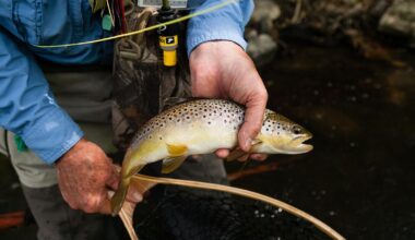 Pennsylvania trout anglers divided over state-run stocking program | Fisheries