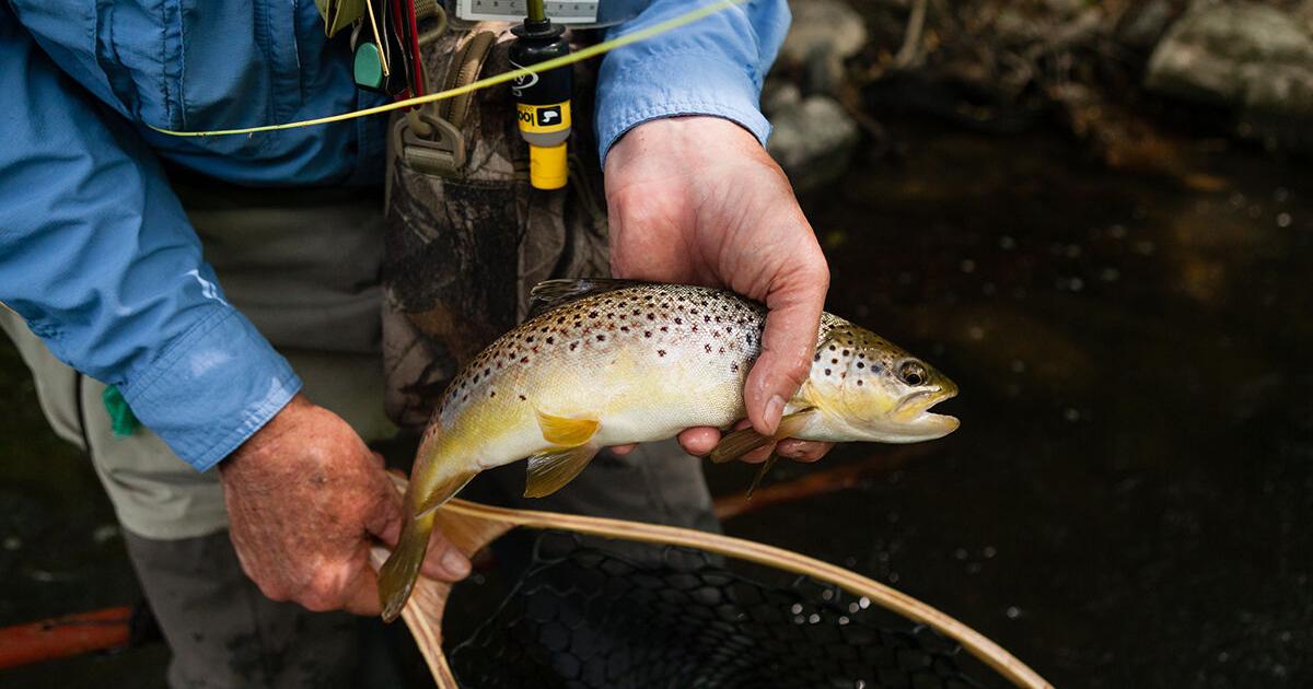 Pennsylvania trout anglers divided over state-run stocking program | Fisheries