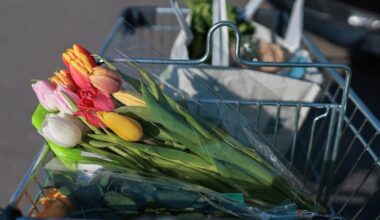 Bunny baskets and Seder staples: Pennsylvania's Easter and Passover trends | Pennsylvania