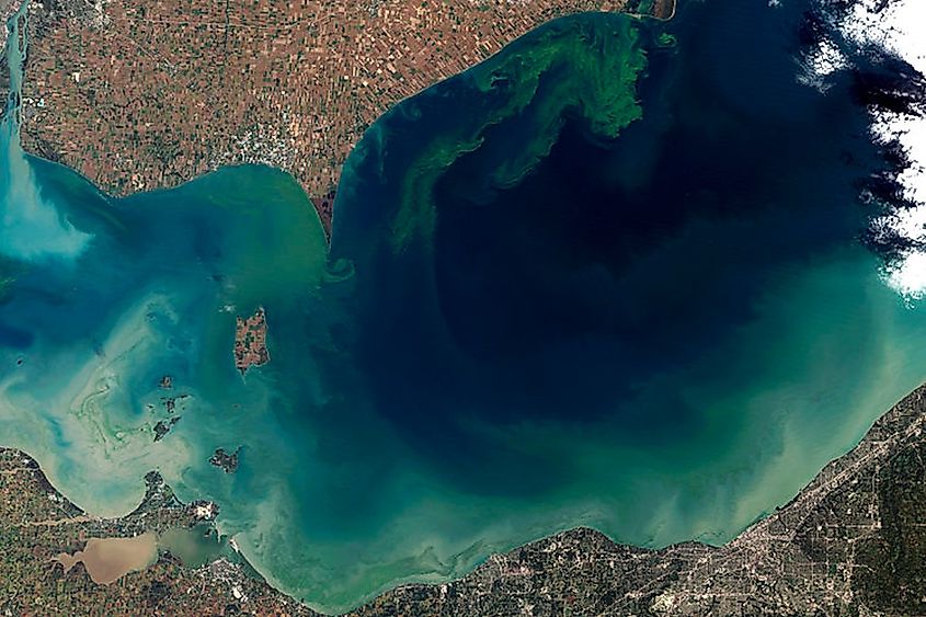 A devastating toxic algal bloom on Lake Erie, one of the most industrially developed lakes in the US.