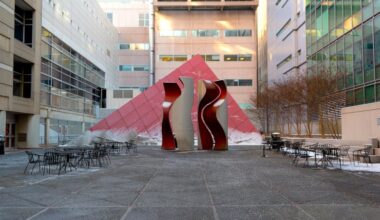 ‘Holes’ in federal AI healthcare regulation should be patched, Penn Med faculty say