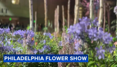 Yahoo lifestyle home