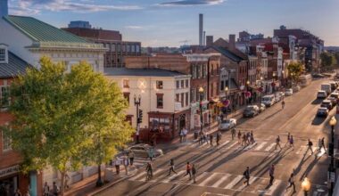 They have a nose for finding people. Bloodhounds and their low-tech sniffers help police track