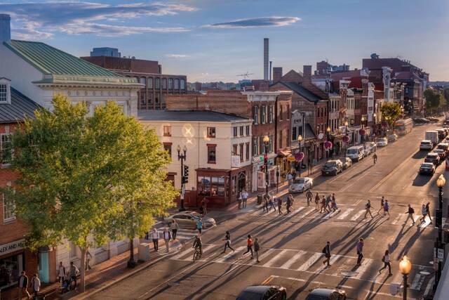 They have a nose for finding people. Bloodhounds and their low-tech sniffers help police track