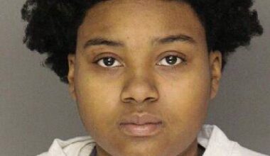 Woman rammed cruiser, nearly struck police dog before North Side crash