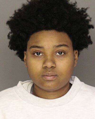 Woman rammed cruiser, nearly struck police dog before North Side crash