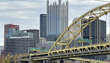 Suspected gun thief takes dip in the Mon to elude police