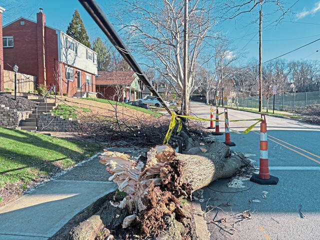 More than 44,800 in region still without power