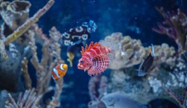 Pittsburgh Zoo explores opening aquarium on North Shore