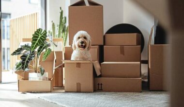 South Hills real estate transactions for the week of March 22, 2026