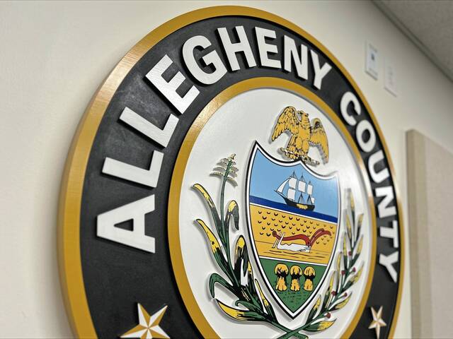 ‘Immaculate Collection’ clears 400 tons of litter ahead of 2026 NFL Draft