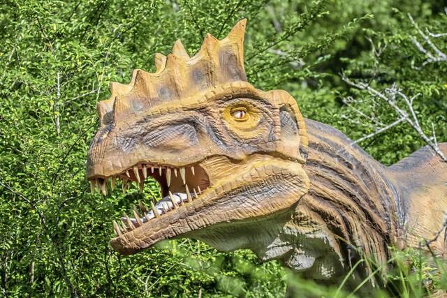 Immersive dinosaur exhibition arrives at Pittsburgh Zoo