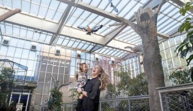 Point Park alumna makes television debut on ‘The Pitt’