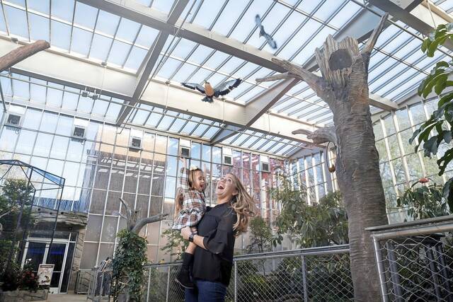 Point Park alumna makes television debut on ‘The Pitt’