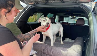 Jourdyn Koviack was reunited with her dog, Forty, this week in Philadelphia. The dog had been missing since 2015.