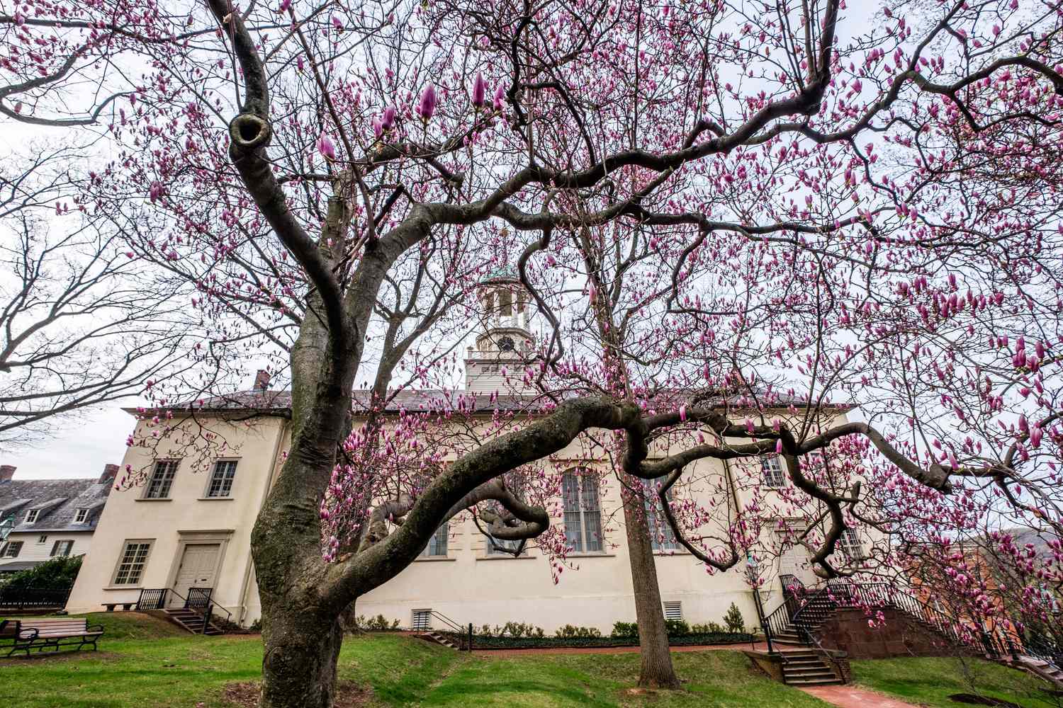 Lehigh Valley’s Warm Community Welcomes Retirees Seeking a Low-Stress Sanctuary Today