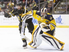 Erie Otters goalie Noah Erliden bumps Sarnia Sting's Liam Beamish (40) at Progressive Auto Sales Arena in Sarnia, Ont., on Wednesday, March 18, 2026. Mark Malone/Chatham Daily News/Postmedia Network