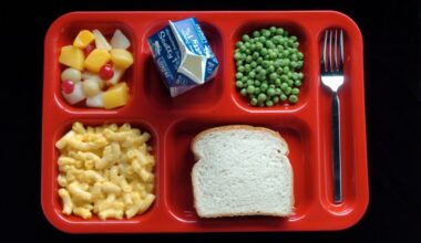 Food inspectors find roaches, rodent droppings in local schools – Scranton Times-Tribune