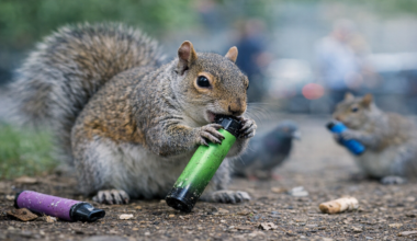 imagen de Al Dia News