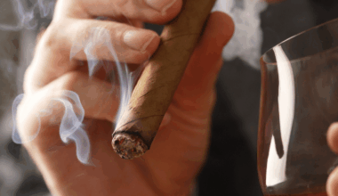 'World's Largest Cigar Store' to Open Near Hellertown – Saucon Source