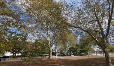 Man shot it the eye, arm at Philly’s Stinger Park – NBC10 Philadelphia