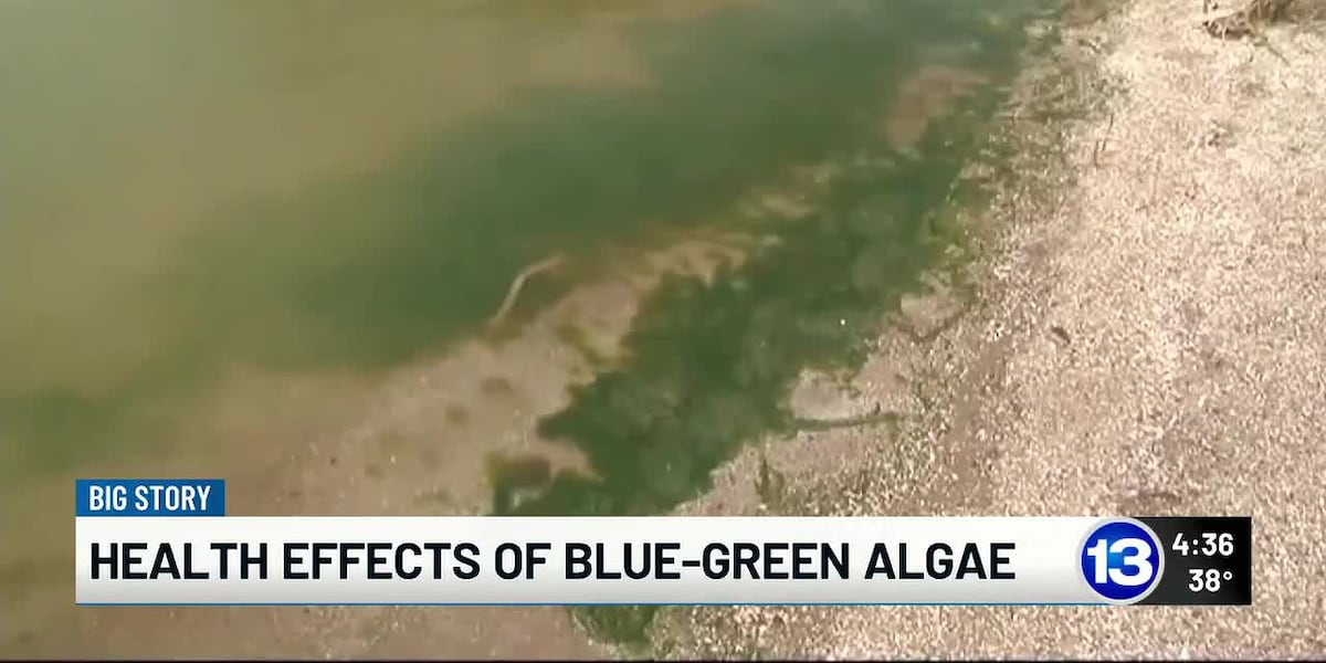 The Impact of Harmful Algal Blooms