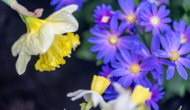 11 essential March events for welcoming spring in Pittsburgh