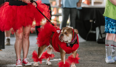 Humane Pennsylvania’s 49th Annual Walk for the Animals