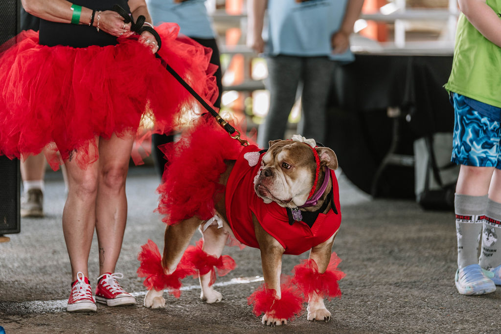 Humane Pennsylvania’s 49th Annual Walk for the Animals